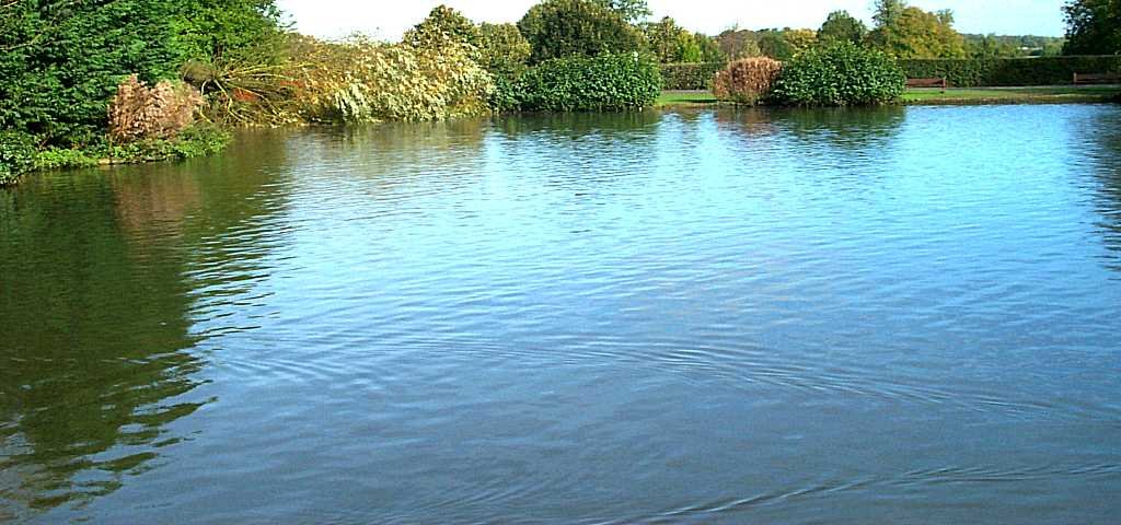 Водоёмы могут быть опасны в любое время года, особенно летом.